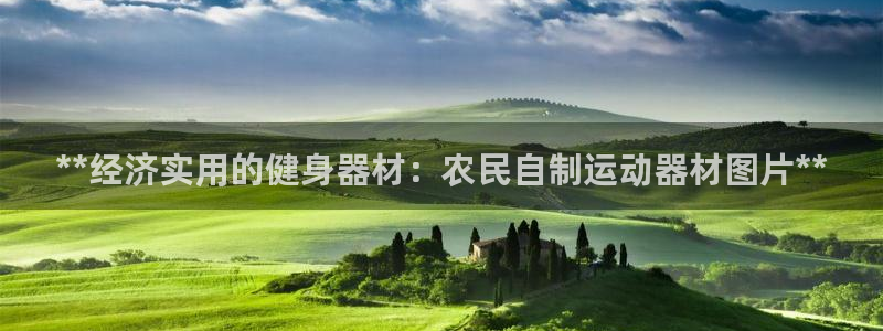 意昂3集团logo：**经济实用的健身器材：农民自制