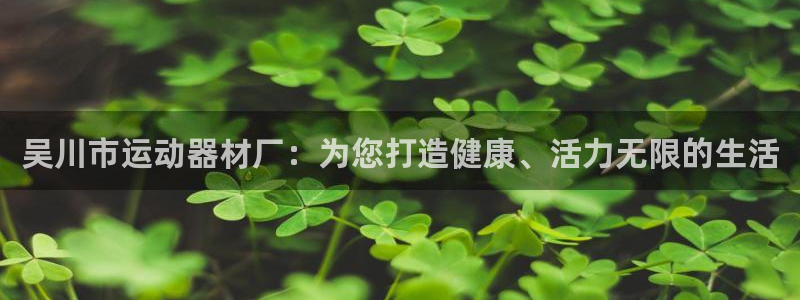 意昂体育3平台注册：吴川市运动器材厂：为您打造健康、