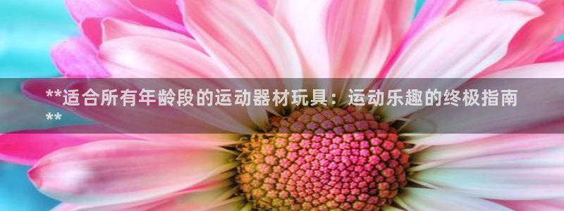 意昂3娱乐是那个系列的台子：**适合所有年龄段的运动器材玩具