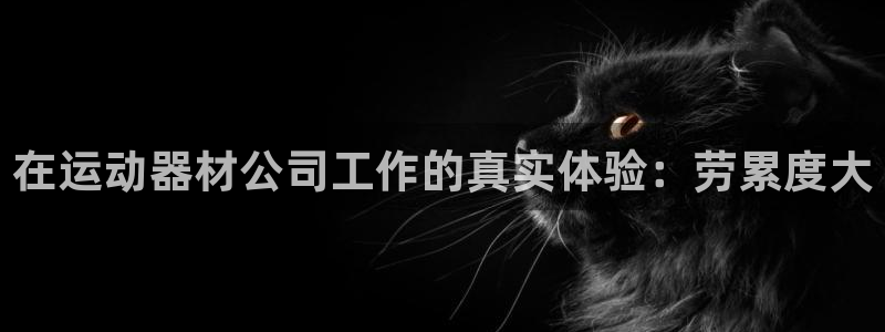 意昂体育3平台是正规平台吗：在运动器材公司工作的真实体验：劳