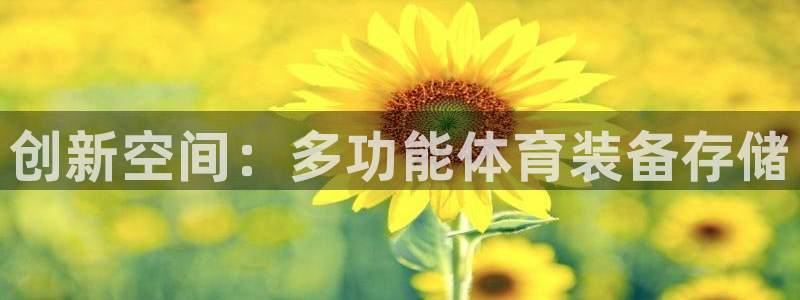 意昂体育3是干嘛的公司
